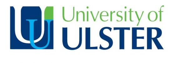 University of Ulster Placement Student